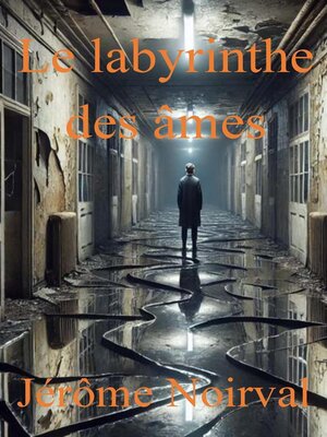 cover image of Le labyrinthe des âmes